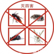 רҵȸ溦