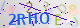 壬ˢ